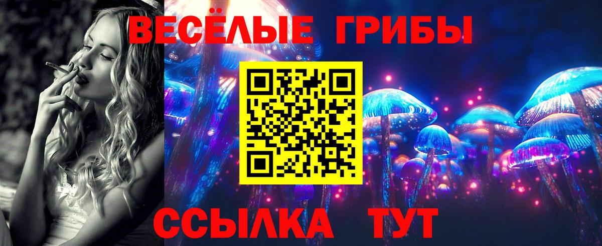 что такое наркотик  Вход с VPN  Чита  Псилоцибиновые грибы GOLDEN TEACHER 